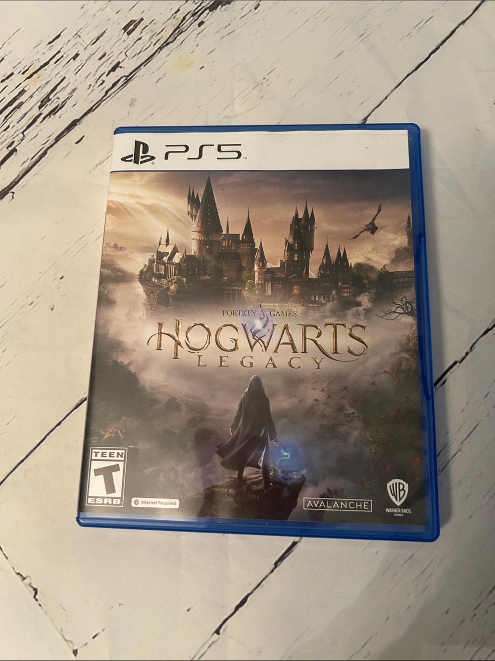 Sony PS5 Hogwarts Legacy - Blue Case